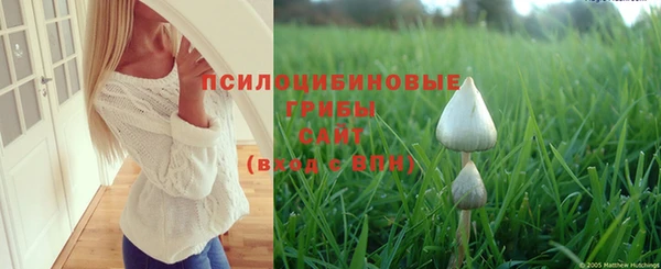 Альфа ПВП Надым