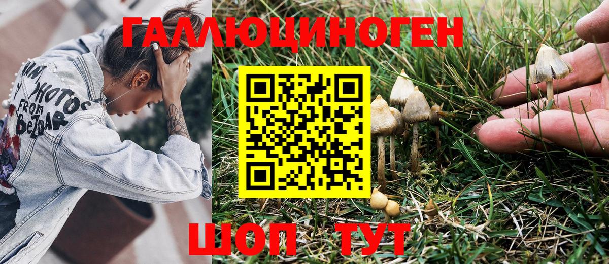 Галлюциногенные грибы мухоморы  Галлюциногенные грибы Magic Shrooms  Архангельск 