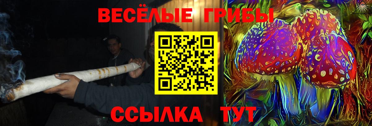 Галлюциногенные грибы прущие грибы Архангельск