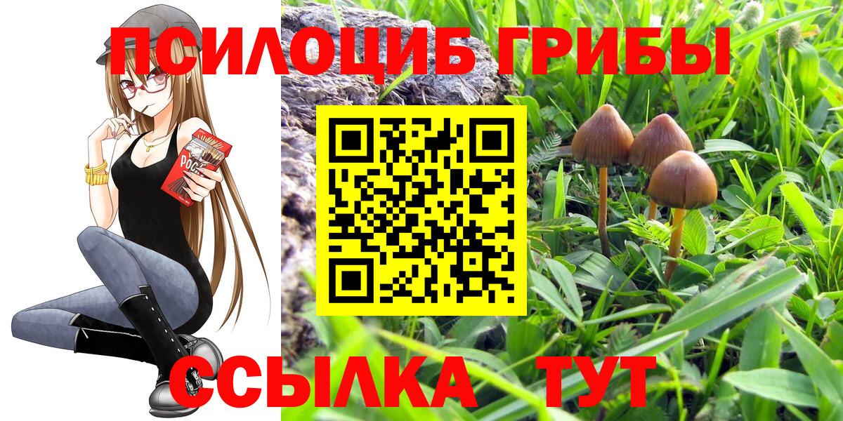 Архангельск  Галлюциногенные грибы GOLDEN TEACHER  Псилоцибиновые грибы GOLDEN TEACHER  купить наркоту  Вход с VPN 